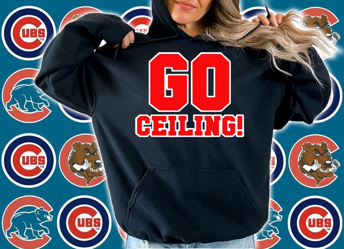 Ceiling Fan, Easy Genius Last Minute Halloween Costume t-shirt hoodie