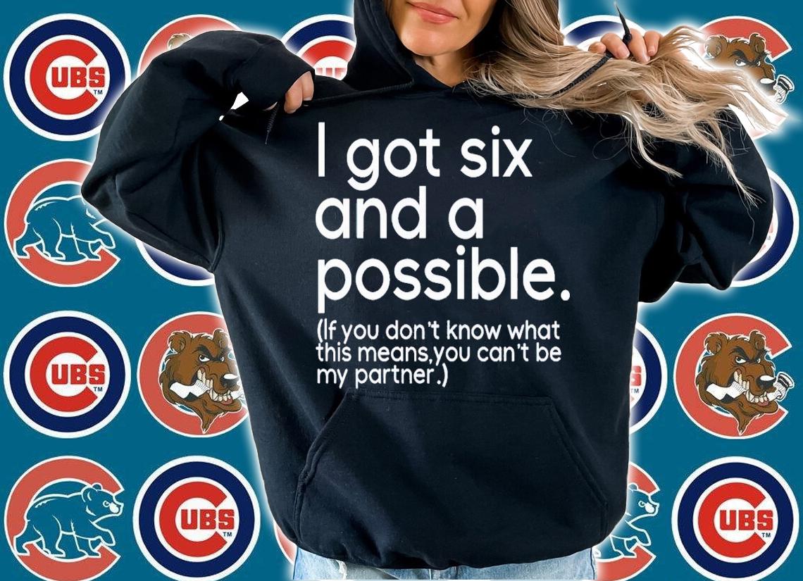 I got six possible if you don't know what this means you can't be my partner shirt t-shirt hoodie