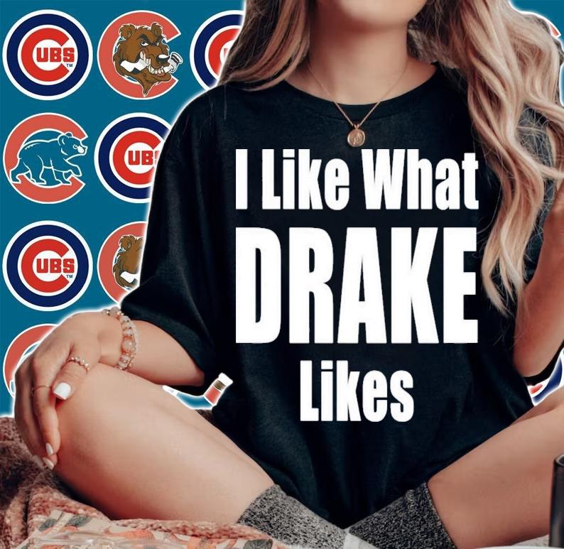 I Like What Drake Likes T-Shirt t-shirt