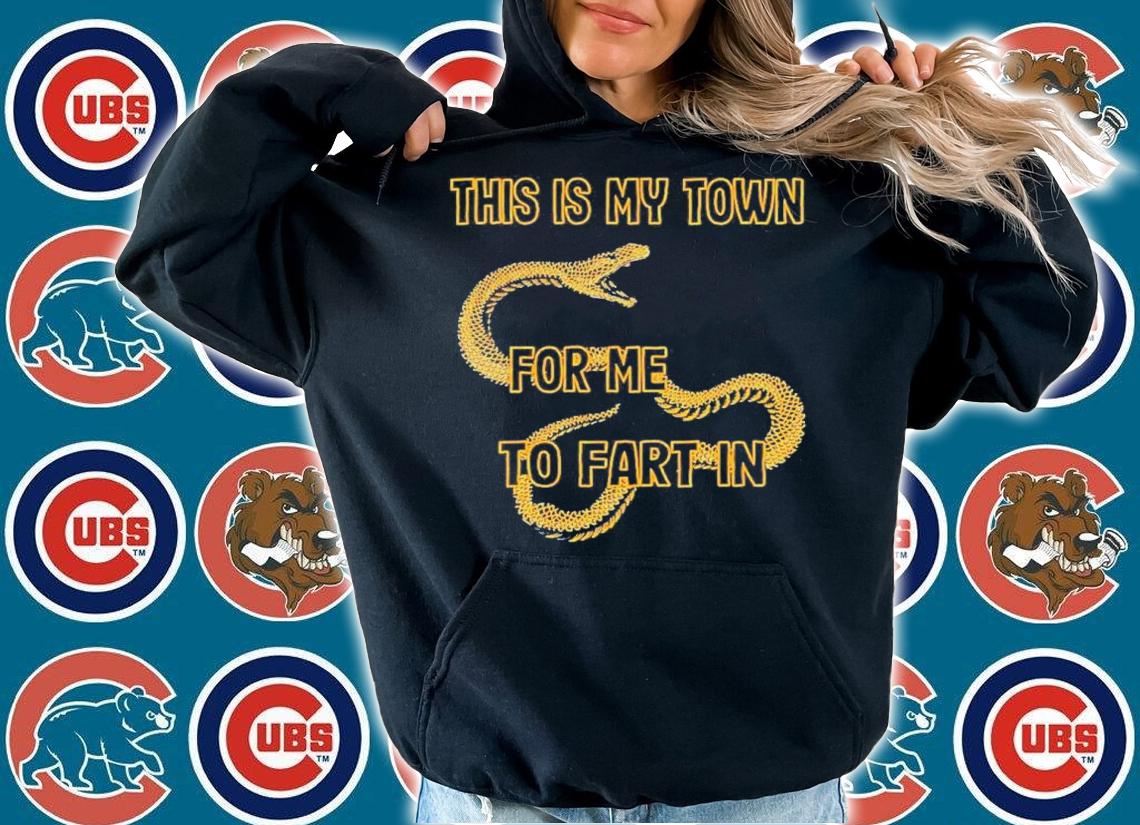 Snake This Is My Town For Me To Fart In Shirt t-shirt hoodie