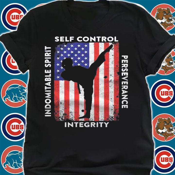 American Taekwondo Fighter Usa Martial Arts Taekwondo Shirt t-shirt