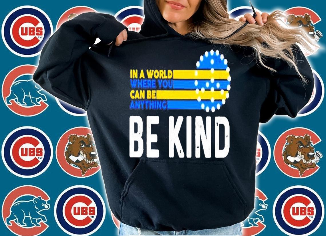 Ukraine In A World Where You Can Be Anything Be Kind T-Shirt t-shirt