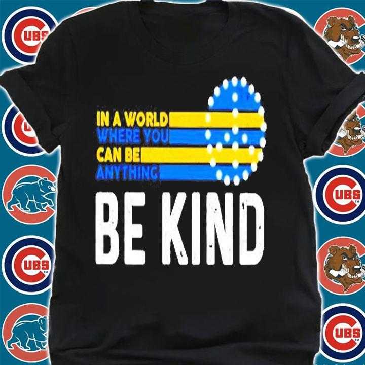Ukraine In A World Where You Can Be Anything Be Kind T-Shirt t-shirt