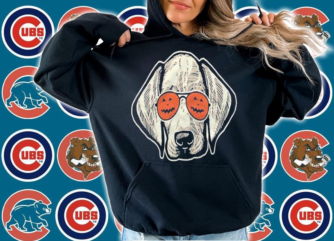 Hound In Pumpkin Sunglasses Weimaraner Halloween Shirt hoodie