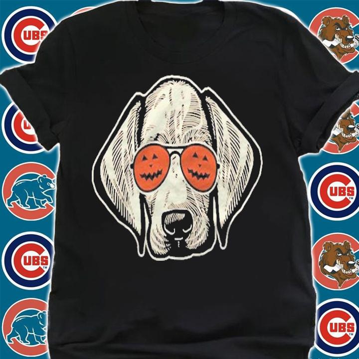 Hound In Pumpkin Sunglasses Weimaraner Halloween Shirt shirt