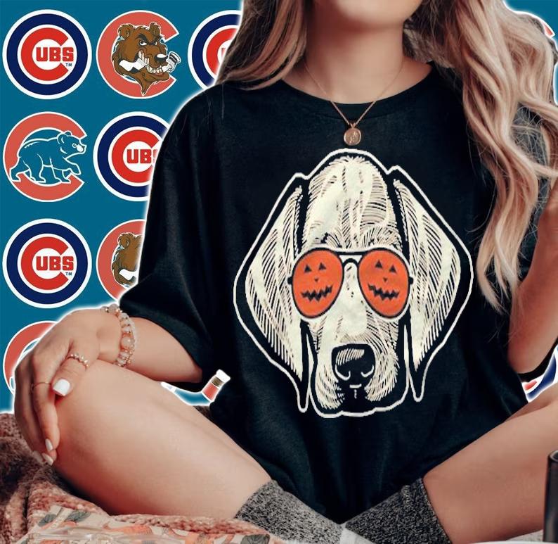 Hound In Pumpkin Sunglasses Weimaraner Halloween Shirt woman shirt