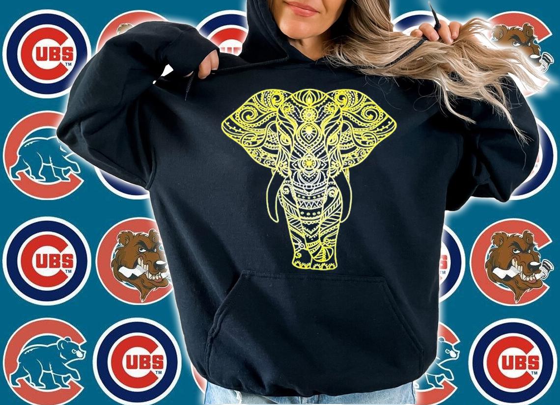 Decorative Indian Ornate Elephant Art T-Shirt