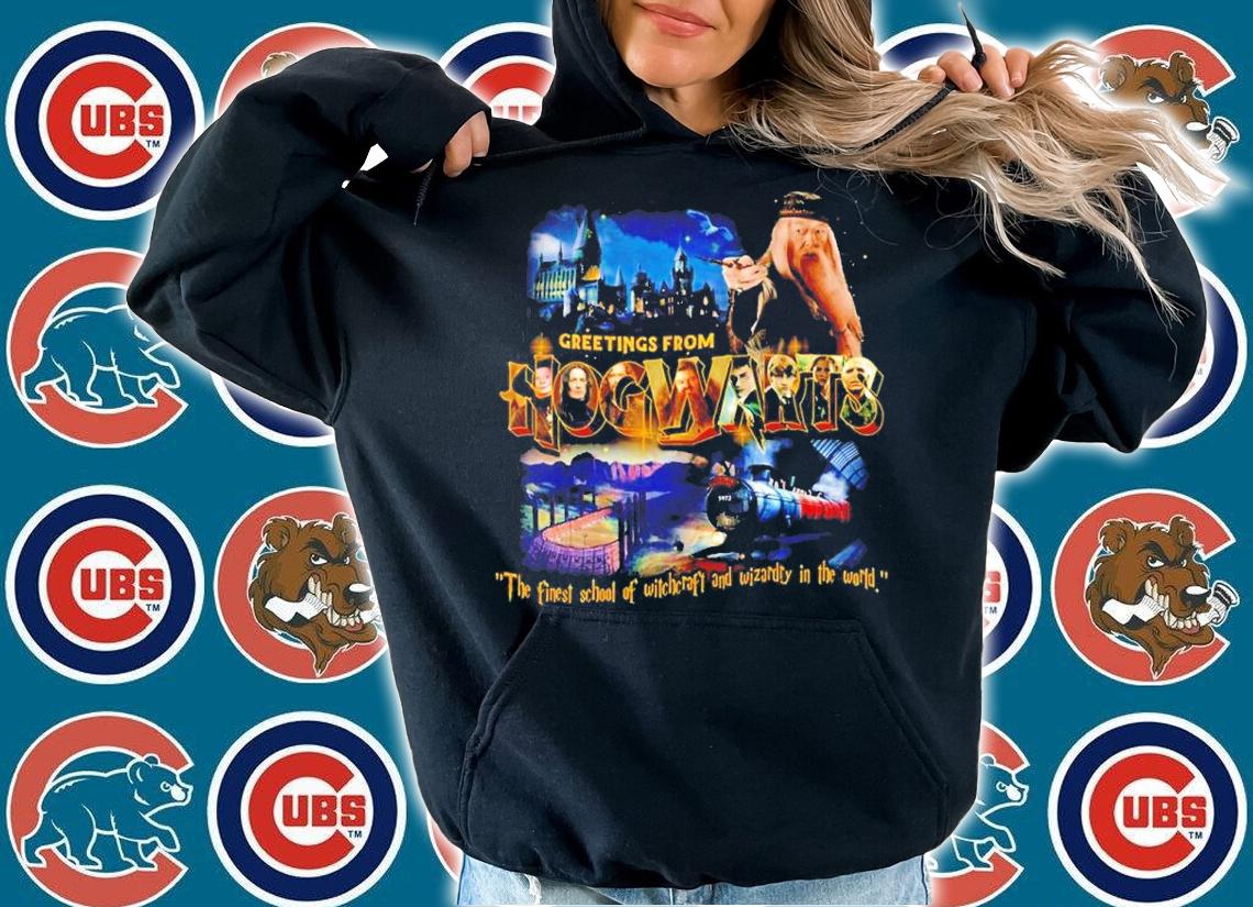 Greetings From Hogwarts The Finest School Of Witchcraft And Wizardry In The World Shirt hoodie